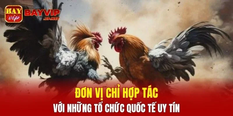 Đơn vị chỉ hợp tác với những tổ chức quốc tế uy tín
