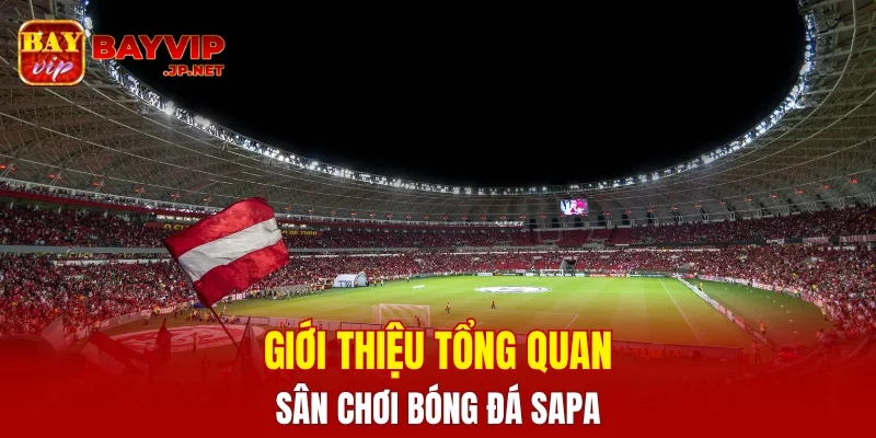 Giới thiệu tổng quan về sân chơi bóng đá SAPA
