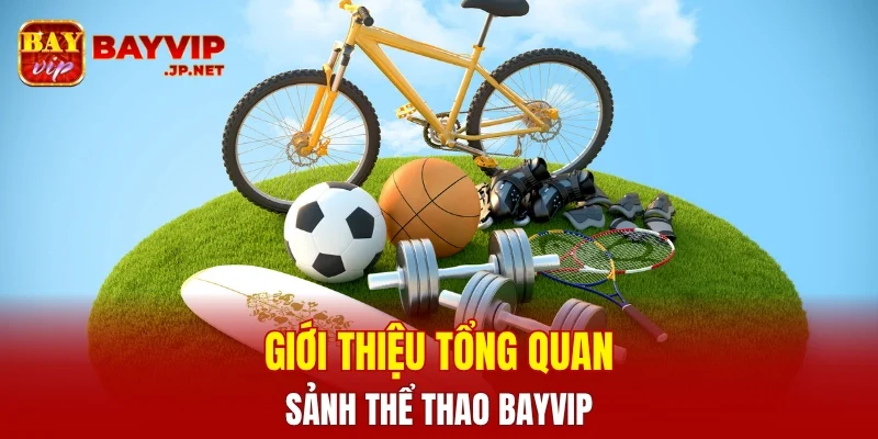 Giới thiệu tổng quan về sảnh thể thao BAYVIP