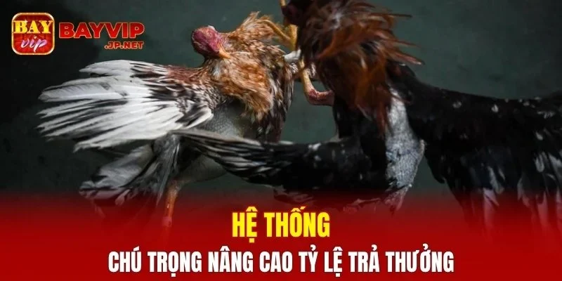 Hệ thống chú trọng nâng cao tỷ lệ trả thưởng